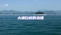 大壩白蟻的治理