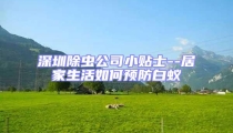 深圳除蟲公司小貼士--居家生活如何預防白蟻