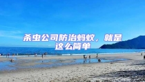 殺蟲公司防治螞蟻,就是這么簡單