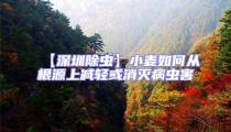 【深圳除蟲】小麥如何從根源上減輕或消滅病蟲害