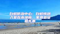 白蟻防治中心:白蟻悄然入室在木地板、家具處安營(yíng)扎寨
