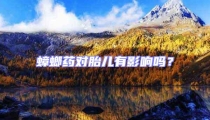 蟑螂藥對胎兒有影響嗎?