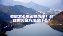 老鼠怎么那么難治理?最佳的滅鼠方法是什么?