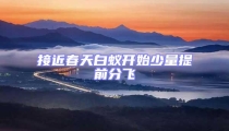 接近春天白蟻開始少量提前分飛