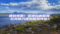 遇到快跑!多地拉響警報,紅火蟻入侵到底多可怕?