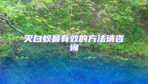 滅白蟻最有效的方法請咨詢