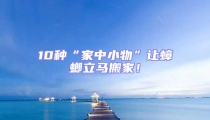 10種“家中小物”讓蟑螂立馬搬家!