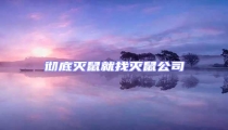 徹底滅鼠就找滅鼠公司