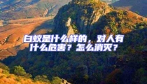 白蟻是什么樣的,對人有什么危害?怎么消滅?