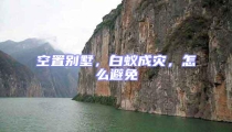 空置別墅,白蟻成災(zāi),怎么避免