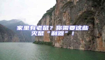 家里有老鼠?你需要這些滅鼠“利器”!