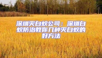 深圳滅白蟻公司:深圳白蟻防治教你幾種滅白蟻的好方法