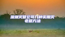 深圳滅鼠公司幾種實用滅老鼠方法