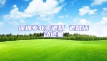 深圳專業滅老鼠 老鼠活動跡象