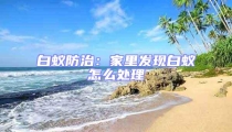白蟻防治:家里發現白蟻怎么處理