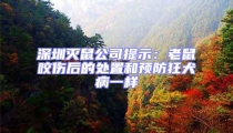 深圳滅鼠公司提示:老鼠咬傷后的處置和預防狂犬病一樣