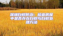 深圳白蟻防治:檢查房屋中是否存在白蟻與白蟻處理方法