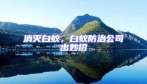 消滅白蟻,白蟻防治公司出妙招