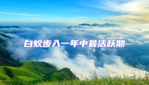 白蟻步入一年中最活躍期