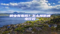 蜱蟲有毒嗎?怎么預防蜱蟲叮咬