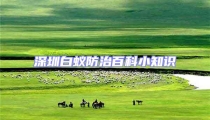 深圳白蟻防治百科小知識(shí)