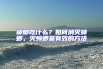 蟑螂吃什么？如何消滅蟑螂，滅蟑螂最有效的方法