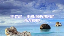 滅老鼠:正確地使用粘鼠板及蟑螂