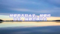蟑螂的天敵大全,蟑螂怕什么,蟑螂恐懼什么