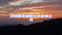 滅蟑螂殺蟑螂公司殺蟲公司
