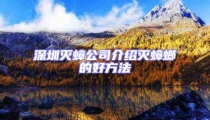 深圳滅蟑公司介紹滅蟑螂的好方法