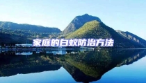 家庭的白蟻防治方法