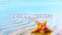 老鼠找哪里,就找常州滅鼠公司