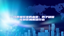 一只蒼蠅引發的血案:男子疑因吃到蒼蠅餐館行兇