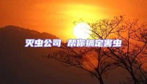 滅蟲公司 幫你搞定害蟲