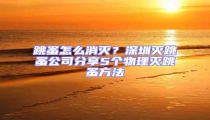 跳蚤怎么消滅?深圳滅跳蚤公司分享5個物理滅跳蚤方法