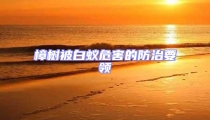樟樹被白蟻危害的防治要領