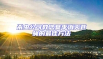 殺蟲公司教您夏季消滅蒼蠅的最佳方法