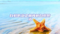 白蟻防治之楊梅樹白蟻防治