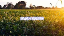 家居滅蟑措施