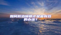 如何防治蟑螂才是最有效的辦法?