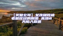 【滅鼠公司】女孩疑吃被老鼠咬過的剩菜 高燒8天陷入昏迷
