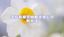 學校食堂滅蟑螂殺蟲公司有辦法