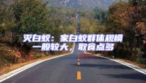 滅白蟻:家白蟻群體規(guī)模一般較大,取食點(diǎn)多