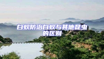 白蟻防治白蟻與其他昆蟲的區別