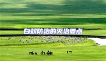 白蟻防治的滅治要點