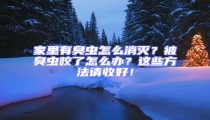 家里有臭蟲怎么消滅?被臭蟲咬了怎么辦?這些方法請收好!