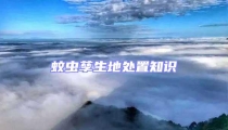 蚊蟲孳生地處置知識
