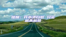 提醒:開水燙白蟻 只會越殺越多