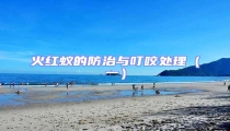 火紅蟻的防治與叮咬處理(一)