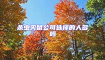 殺蟲滅鼠公司選擇的人多嗎
